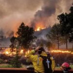 उत्तराखंड में इस वजह से सर्दियों में भी धधक रहे जंगल, प्रदेशभर में करीब 150 हेक्टेयर जंगल जलकर हुए राख 