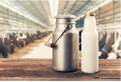 उत्तराखंड के इन चार जिलों में आंचल दूध की कीमत में हुई बढ़ोतरी