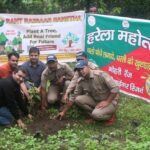 हरेला अभियान के तहत रंत रैबार संस्था ने यमकेश्वर बिजनी में किया वृक्षारोपण