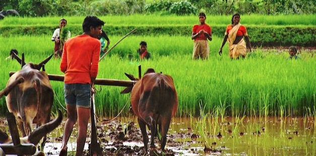 भारतीय कृषि का अमृतकाल