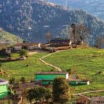 “ग्रामीण पर्यटन का सफल उदाहरण बना रुद्रप्रयाग का सारी गांव”