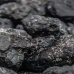 चारधाम यात्रा में नकली कस्तूरी और शिलाजीत की धड़ल्ले से बिक्री, वन विभाग बेखबर