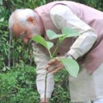 विश्व पर्यावरण दिवस पर पीएम मोदी ने अपने आवास पर लगाया सिंदूर का पौधा