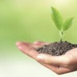 देहरादून और मसूरी में मियावाकी पौधरोपण योजना पर उठे सवाल, वन मुख्यालय ने शुरू की जांच