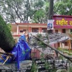 देहरादून कचहरी परिसर में गिरा विशाल पेड़, स्टांप विक्रेता की दुकान हुई ध्वस्त