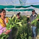 उद्यमिता से स्वरोजगार बढ़ाकर पलायन रोक रही ग्रामोत्थान परियोजना