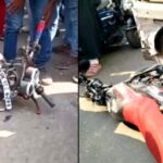 रुड़की में दर्दनाक सड़क हादसा: रोडवेज बस की चपेट में आने से दो छात्रों की मौत, एक गंभीर