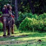 कार्बेट और राजाजी टाइगर रिजर्व में हाथी सफारी को मिली हरी झंडी