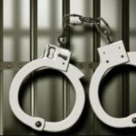 अमेरिका में अवैध रूप से रह रहे ट्रक चालकों के खिलाफ बड़ी कार्रवाई, 30 भारतीय गिरफ्तार