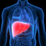 डायबिटीज, हाई बीपी और कोलेस्ट्रॉल से क्यों बढ़ जाता है लिवर खराब होने का खतरा? आइये जानते हैं