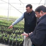 मुख्य सचिव आनन्द बर्द्धन ने सेलाकुई में स्थित सगन्ध पौधा केन्द्र का किया भ्रमण