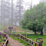 मसूरी में खुलने जा रहा हाईटेक ईको पार्क, क्या-क्या मिलेगा; पूरी डिटेल