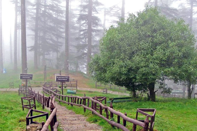 मसूरी में खुलने जा रहा हाईटेक ईको पार्क, क्या-क्या मिलेगा; पूरी डिटेल