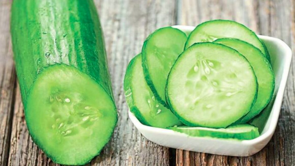 खीरा खाने का सही समय कौन सा है? आइये जानते हैं क्या कहते हैं विशेषज्ञ