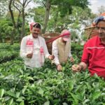 कृषि मंत्री गणेश जोशी ने असम के हाथीकुली चाय बागान का किया अवलोकन