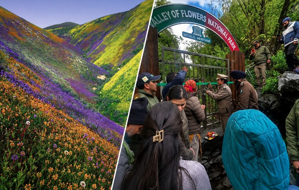 विश्व प्रसिद्ध फूलों की घाटी पर्यटकों के लिए खुली