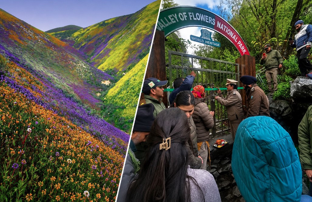 विश्व प्रसिद्ध फूलों की घाटी पर्यटकों के लिए खुली