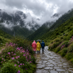 लगातार बारिश के चलते फूलों की घाटी पर्यटकों के लिए बंद, प्रशासन ने सुरक्षा को दी प्राथमिकता