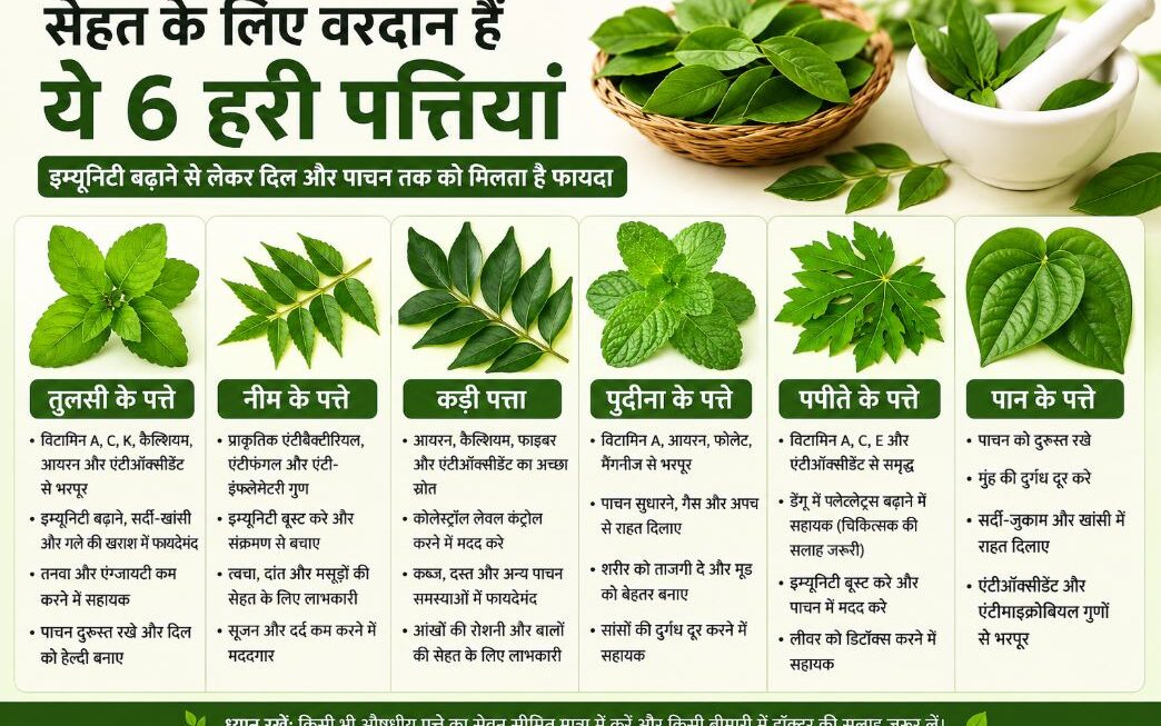 सेहत के लिए किसी वरदान से कम नहीं हैं ये 6 हरी पत्तियां, इम्यूनिटी बढ़ाने से लेकर दिल और पाचन तक को मिलता है फायदा