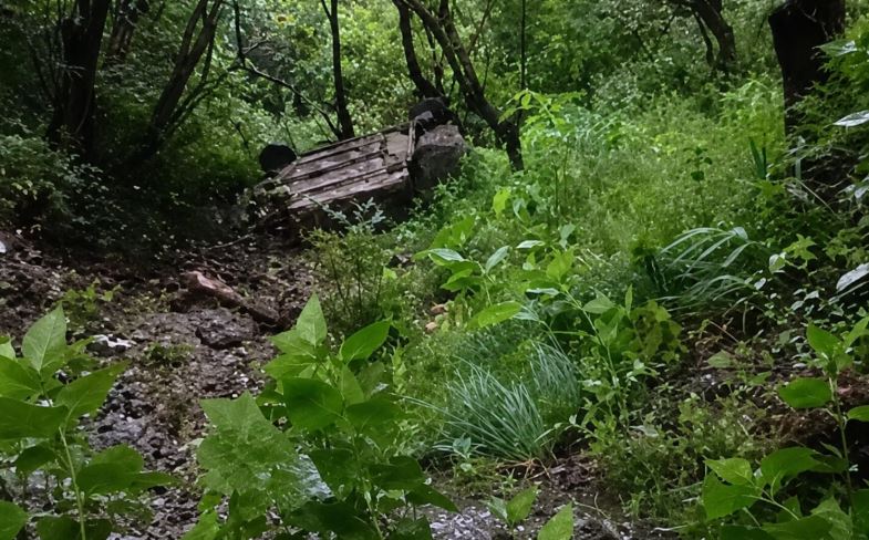 ताकुला चुंगी के पास 100 मीटर गहरी खाई में गिरी कार,चार लोग घायल