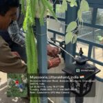 बिना स्वीकृत मानचित्र के निर्माण पर एमडीडीए की कार्रवाई, दो प्लेटफार्म सील