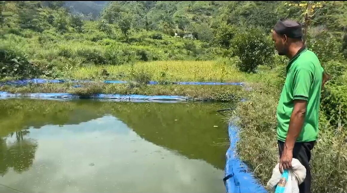 मछली पालन से स्वरोजगार की मिसाल पेश कर रहे पाबौ के राजेंद्र चमोली