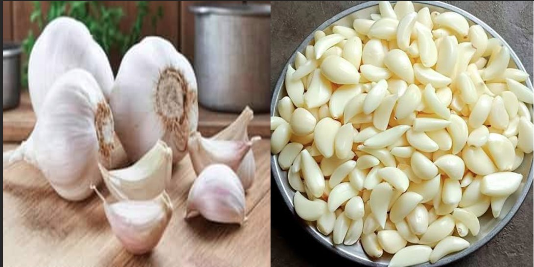 सुबह खाली पेट कच्चा लहसुन खाना कितना फायदेमंद? जानें फायदे, नुकसान और सही तरीका